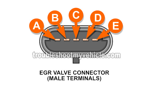 EGR Valve Connector Circuits. How To Test The EGR Valve (1996 2.2L Buick Century And Oldsmobile Cutlass Ciera)